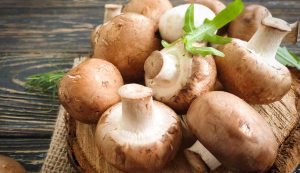 Funghi
